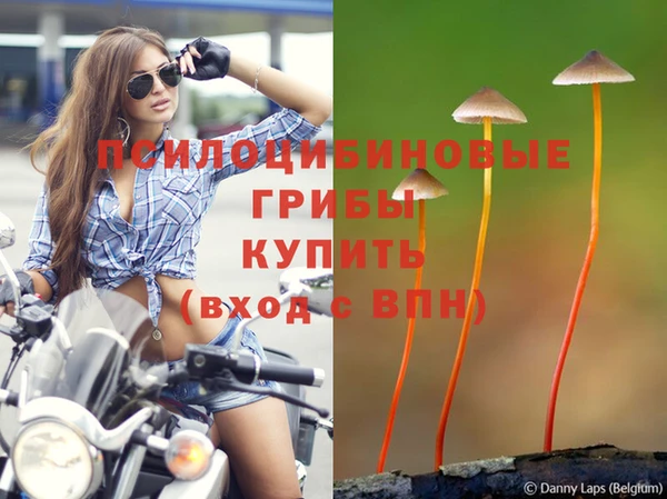 не бодяженный Нефтекумск