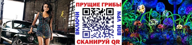 Псилоцибиновые грибы Psilocybine cubensis  Светлоград 
