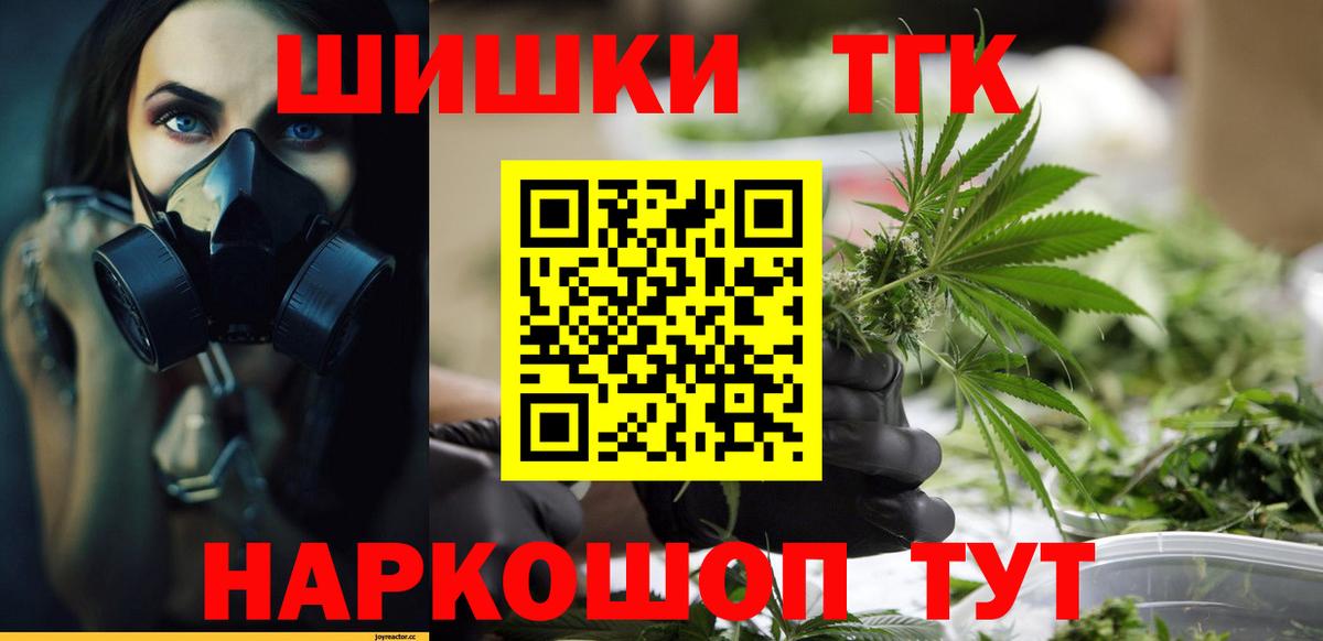 Каннабис сатива Светлоград